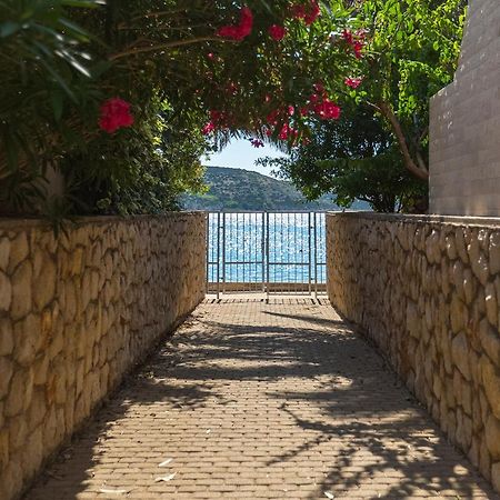 Apartmant Korina Stara Novalja Dış mekan fotoğraf